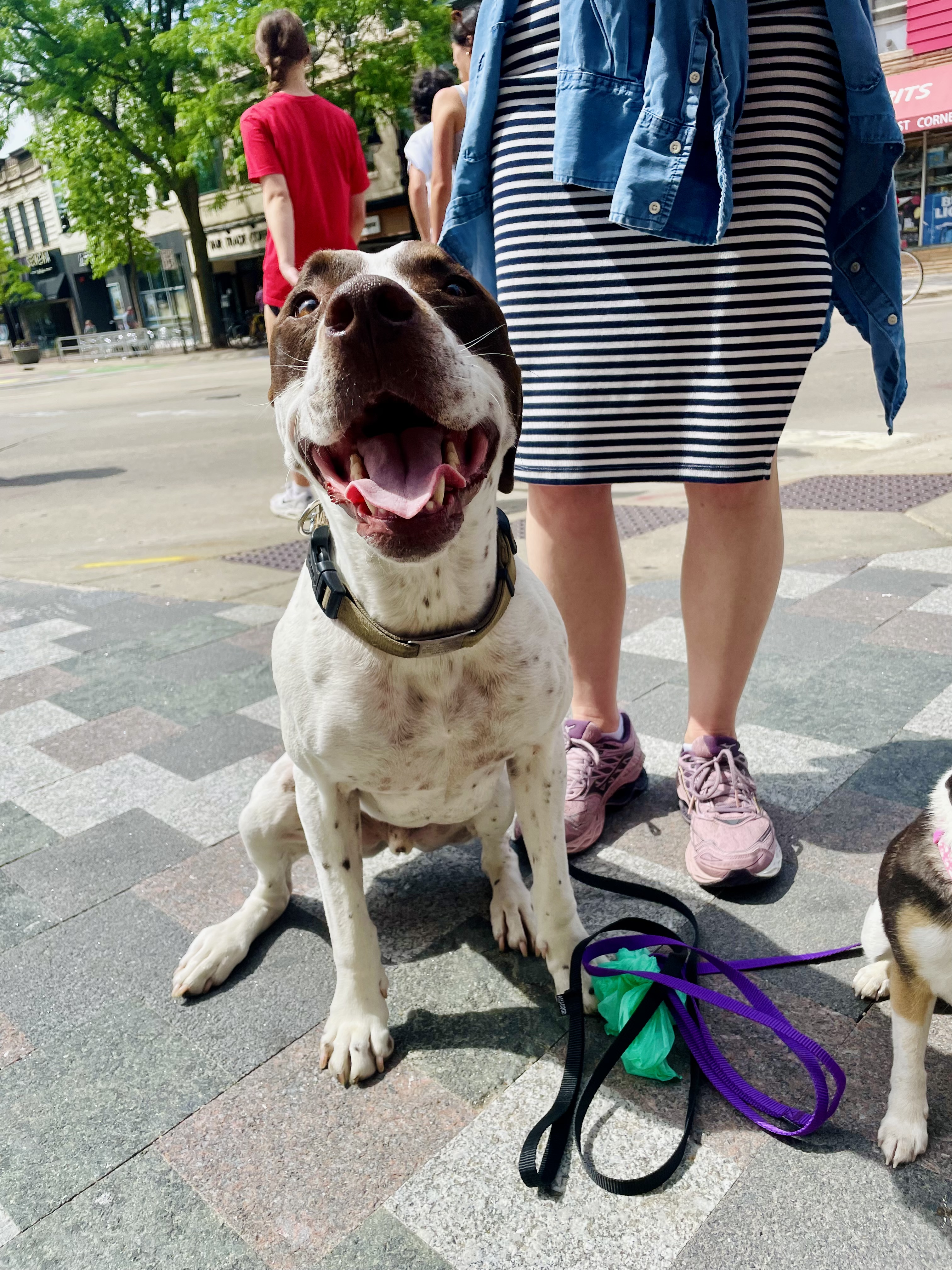 Animal photograph from field notes